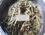 豆角蒸面条的做法图解12