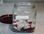杨梅酒的做法图解4