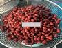 自制蜜豆的做法图解2