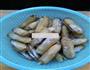 响油蛏子的做法图解1