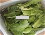 蚝油生菜的做法图解1