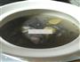 月母鸡汤的做法图解7