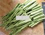 凉拌芦笋的做法图解2