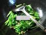蒜香肉丝炒菠菜的做法图解5