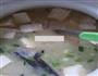 鱼头豆腐汤的做法图解8