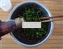 家常葱肉饼的做法图解5