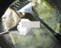 小黄鱼煮粉丝的做法图解8