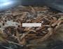 干锅茶树菇的做法图解1