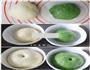 双色抹茶蜜豆面包的做法图解3