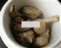 枫斗炖鸽的做法图解4