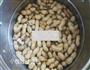 盐水花生的做法图解2