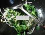 肉丝蒿菜炒绿豆芽的做法图解5