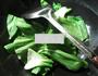 青菜淡贝丸煮粉丝的做法图解3