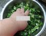 黄豆炒手捏菜的做法图解3