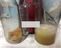 姑娘果梨汁的做法步骤8