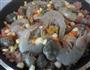 海鲜饭的做法图解10