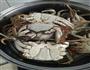 清蒸大闸蟹的做法图解3