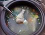 山药鸡腿汤的做法图解7
