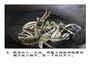 油酱毛蟹的做法图解4