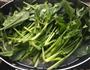 上汤菠菜的做法图解6