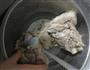 奶白骨头汤的做法图解3