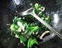 白玉菇炒菠菜的做法图解7