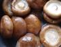 酿香菇的做法图解1