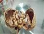 山楂和核桃更配噢的做法图解1