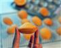 橙香玛德琳的做法图解12