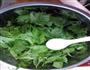 蒸芹菜叶的做法图解2