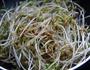 醋溜绿豆芽的做法图解7