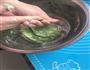翡翠饺子的做法图解3