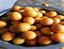 糖渍金桔的做法图解1