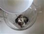 黑芝麻核桃糊的做法图解5