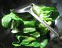 包心鱼卷炒青菜的做法图解3
