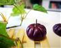 紫色小南瓜的做法图解13