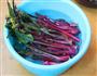 高汤紫菜心的做法图解2