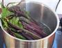 高汤紫菜心的做法图解3