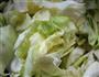 家常圆白菜的做法图解1