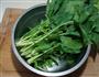 菠菜粉丝的做法图解2