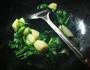 菠菜土豆的做法图解4