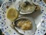 蒜蓉生蚝的做法图解2