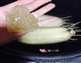 桂花糯米藕的做法图解7