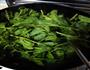 清炒豌豆尖的做法图解2
