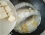 鲫鱼豆腐汤的做法图解5