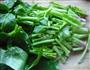 凉拌菠菜的做法图解1