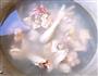 吉祥凤菇的做法图解3