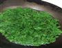 艾叶菜的做法图解1