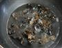 凉拌木耳的做法图解2