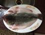 清蒸鲈鱼的做法图解2